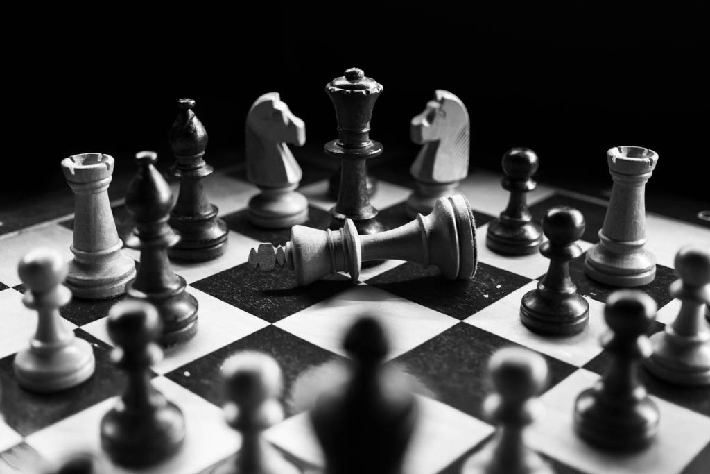 Green Marketing Project Report: Real Strategies That Drive Sales Without Greenwashing